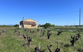 Gîte d'ysée au milieu des vignes